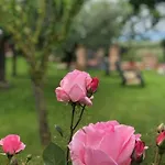 Il Giardino Delle Rose Spello