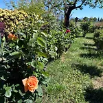 Il Giardino Delle Rose Lejlighed