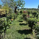 Apartment Il Giardino Delle Rose