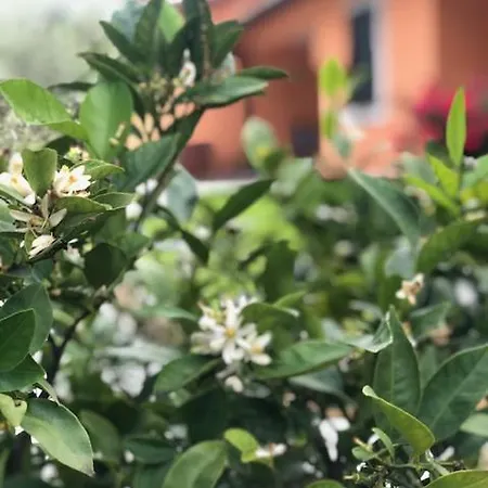 Il Giardino Delle Rose Apartamento