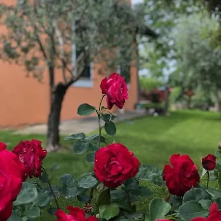 Il Giardino Delle Rose Spello