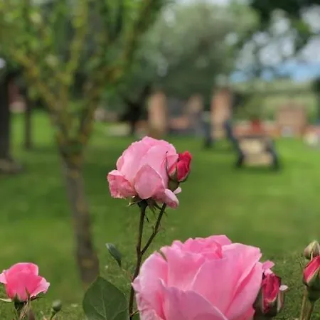 Il Giardino Delle Rose Spello