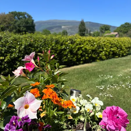 Il Giardino Delle Rose Apartment