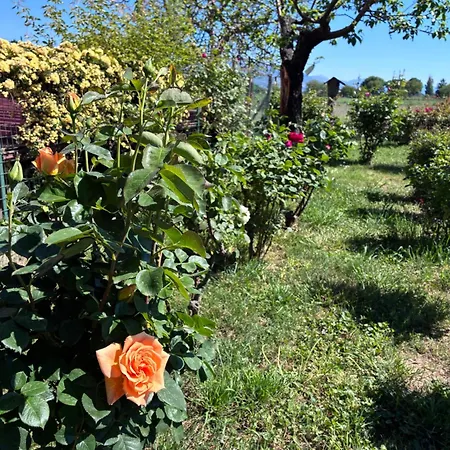 Il Giardino Delle Rose Appartement